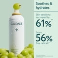 thumbnail image 2 of Bruma facial hidratante Caudalie Grape Water for Face, 2 of 6