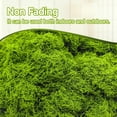 thumbnail image 4 of Musgo artificial Aspamms para plantas en macetas de interior, 150 g, 4 of 7