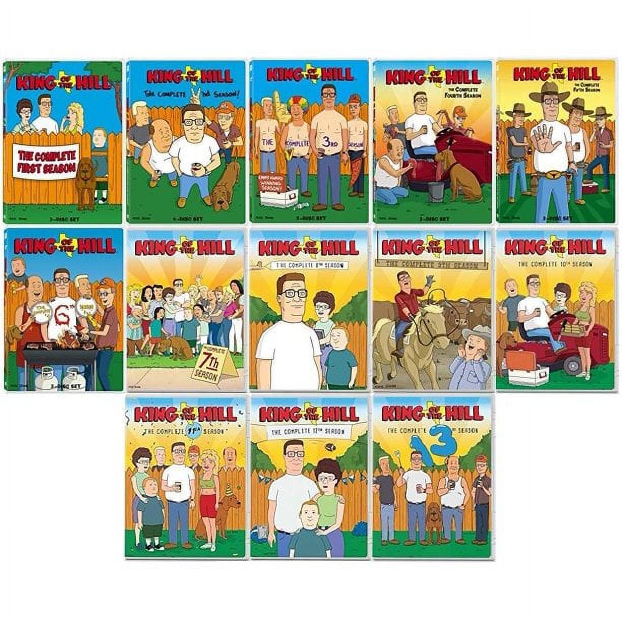 KING OF THE HILL DVD Box Set Lot - Seasons 2, 4 & 6- Comedy