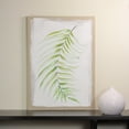 thumbnail image 3 of Raz 28" x 20" Green and Ivory Fern Fronds Unframed Linen Canvas Wall Art, 3 of 3