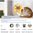 thumbnail image 3 of Cat Cone Collar,Cute Flower Waterproof Elizabethan e Collar for Cat and Small Dog Anti-Bite Lick Wound Healing Protective Neck Cone After Surgery Recovery Collar for Small Pet, 3 of 8