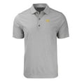 thumbnail image 2 of Men's Cutter & Buck  Heather Gray Iowa Hawkeyes Big & Tall Forge Eco Stripe Stretch Recycled Polo, 2 of 3