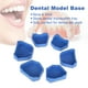 thumbnail image 3 of Juego de 6 bases para modelos dentales, kit de base para moldes de laboratorio dental, base de yeso para moldes dentales, tamaño grande, mediano y pequeño, color azul., 3 of 7