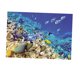 thumbnail image 1 of Cartel de fondo de pared de acuario jinwen decoración de tanque Tropical y Etiqueta engomada del fondo del tanque de peces, 1 of 8