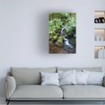 thumbnail image 3 of Robert Michaud 'Tropical Forest' Canvas Art, 3 of 4