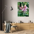 thumbnail image 3 of Erin Berzel 23x32 Gallery Wrapped Canvas Wall Art Titled - Fuchsia Bloom II, 3 of 4