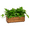 Gold, variant on THYOI Wooden Planter Box, Storage Box 17”L x6”W x5.5”H with Crate Style, Acacia Wood Flower Box, Rustic Rectangle Box Planter for Planting, Decor and Storage - 3 Colors (Golden Walnut)