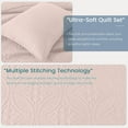 thumbnail image 2 of Copper Coin Pattern Quilted Bedspread 3 -Piece Pink Full/Queen Quilt Set, 2 of 4