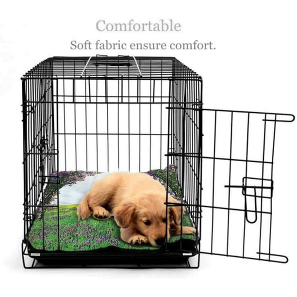 Pet magic dog outlet crate