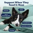 thumbnail image 4 of Solid Gold Calming Supplement for Dogs, for Anxiety and Stress Relief, Bacon 60 Count, 4 of 10