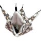 thumbnail image 1 of Hamaca pequeña para jaula para mascotas, hamaca con litera y planeador de azúcar, accesorios para jaula de conejillo de indias, ropa de cama, hamaca cálida para loro, hurón, ardilla, hámster, rata, 1 of 5