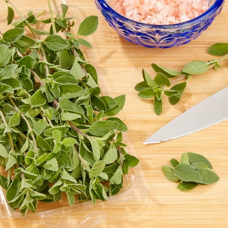 Fresh Cut Oregano