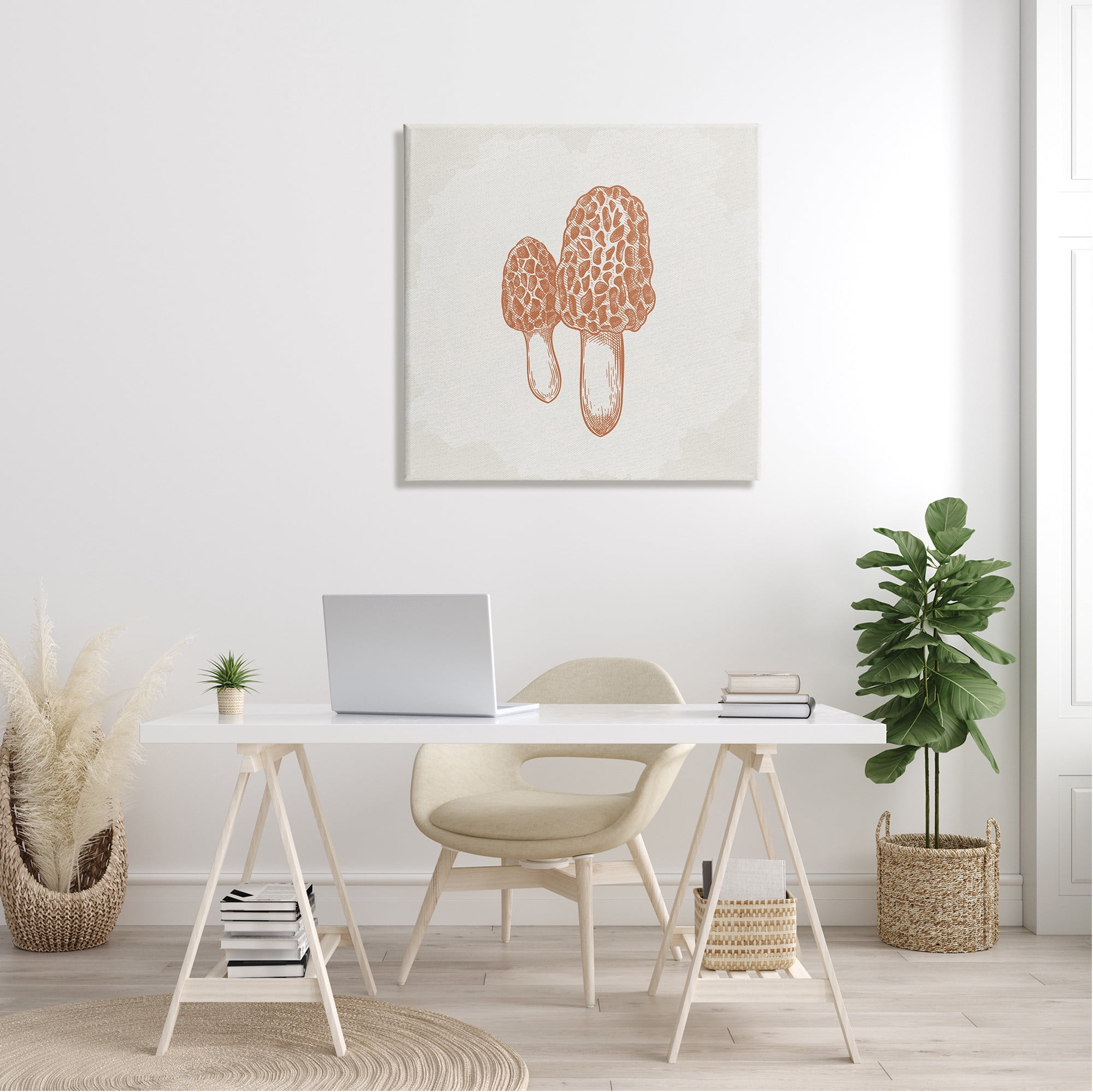Stupell Industries Detailed Mushroom Latin Study Drawing Graphic Art Gallery Wrapped Canvas Print Wall Art, Design by Kim Allen