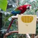 thumbnail image 2 of Bird Box Hatch Nest Plastic Hut Can Hang Bird Home Balcony Decoration Bird Nest, 2 of 5