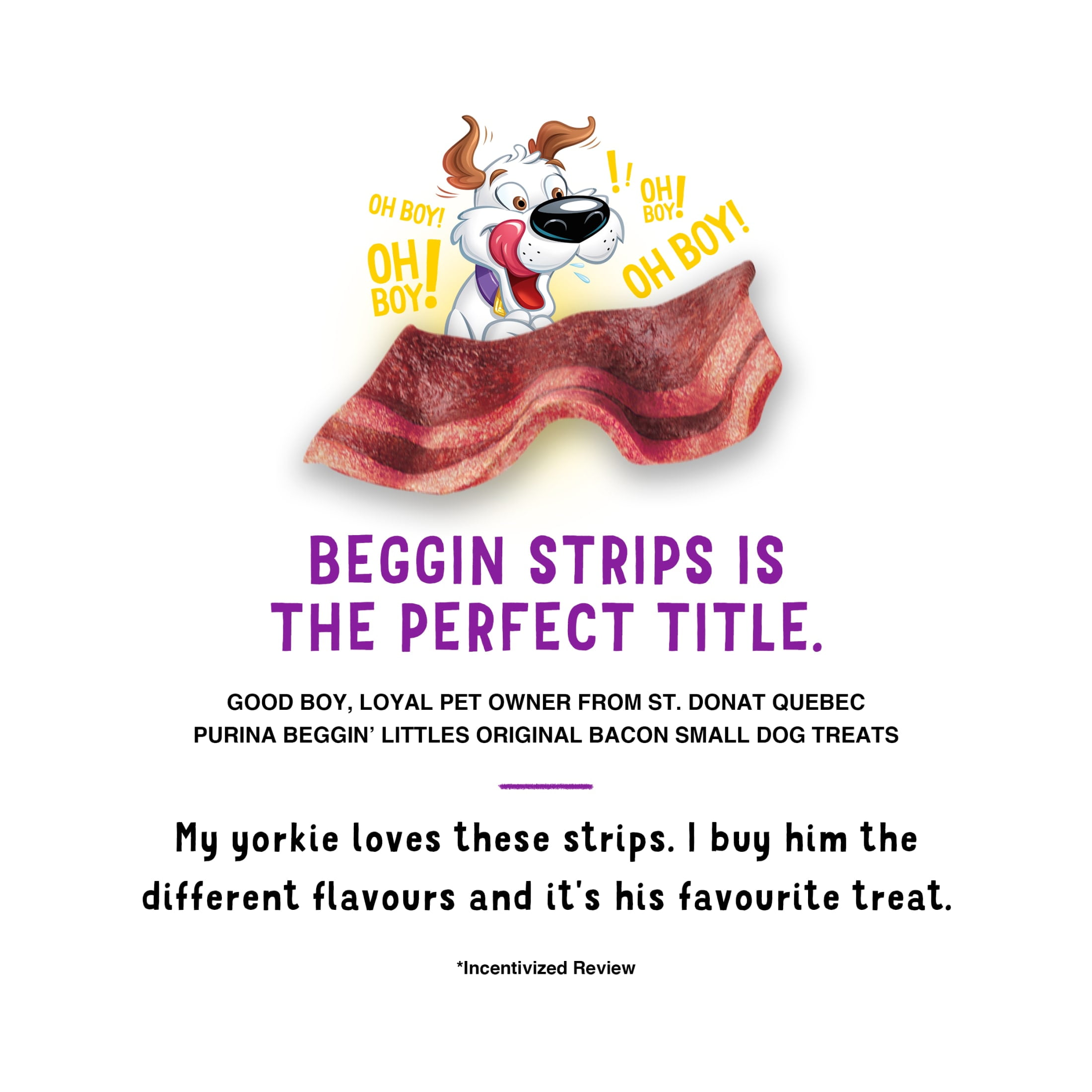 Purina beggin littles 2025