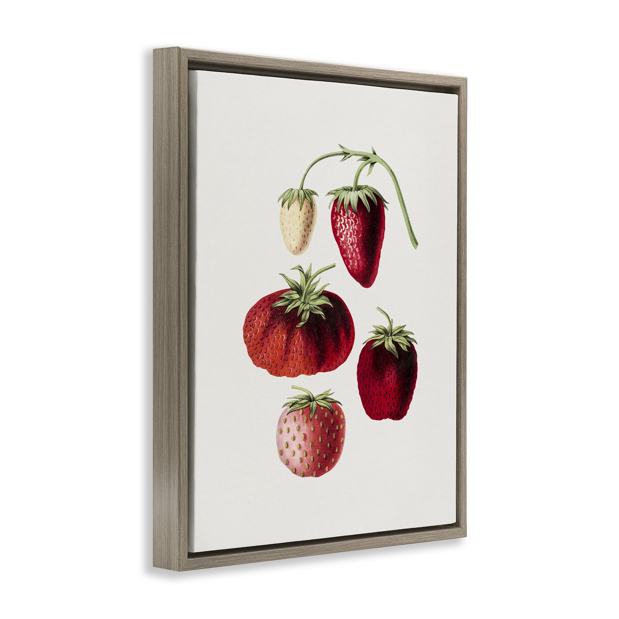 Stupell Industries Natural Berries Study Food & Beverage Painting Brown Floater Framed Art Print Wall Art, 17 x 21