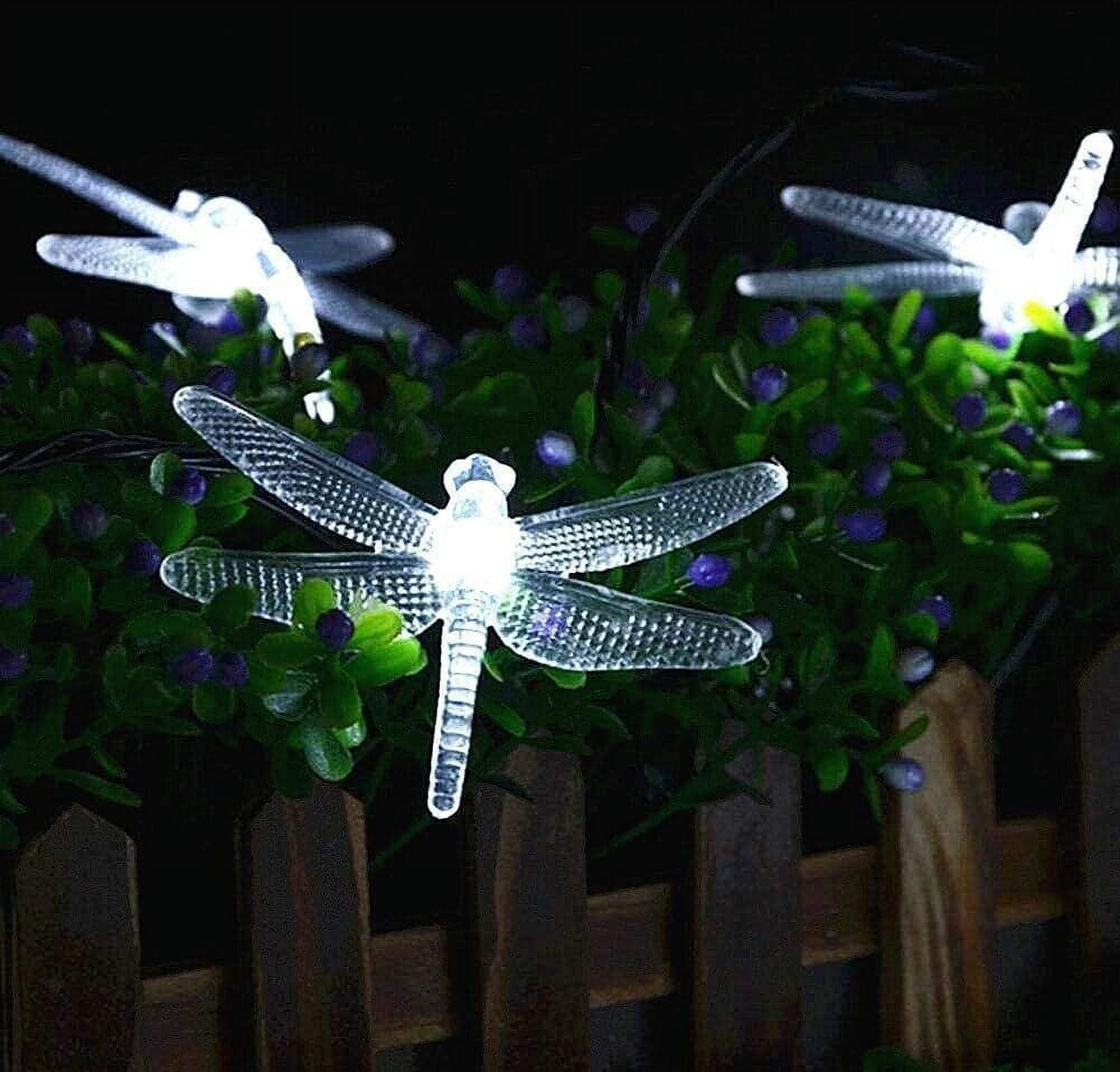 KINGCOO Guirnalda De Luces De Libélula, 40 Luces LED De Libélula