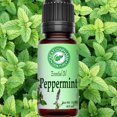 thumbnail image 4 of Creation Pharm Peppermint Essential Oil - Mentha Piperita - 15 ml- Aceite Esencial De Menta Aromatherapy staple, 4 of 5