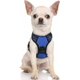 thumbnail image 1 of Rabbitgoo Arnés para Perros, Arnés para Mascotas sin Tirones con 2 Clips para Correa, Chaleco para Perros Acolchado Suave y Ajustable, Chaleco Oxford Reflectante para Mascotas sin asfixia con asa de f, 1 of 4