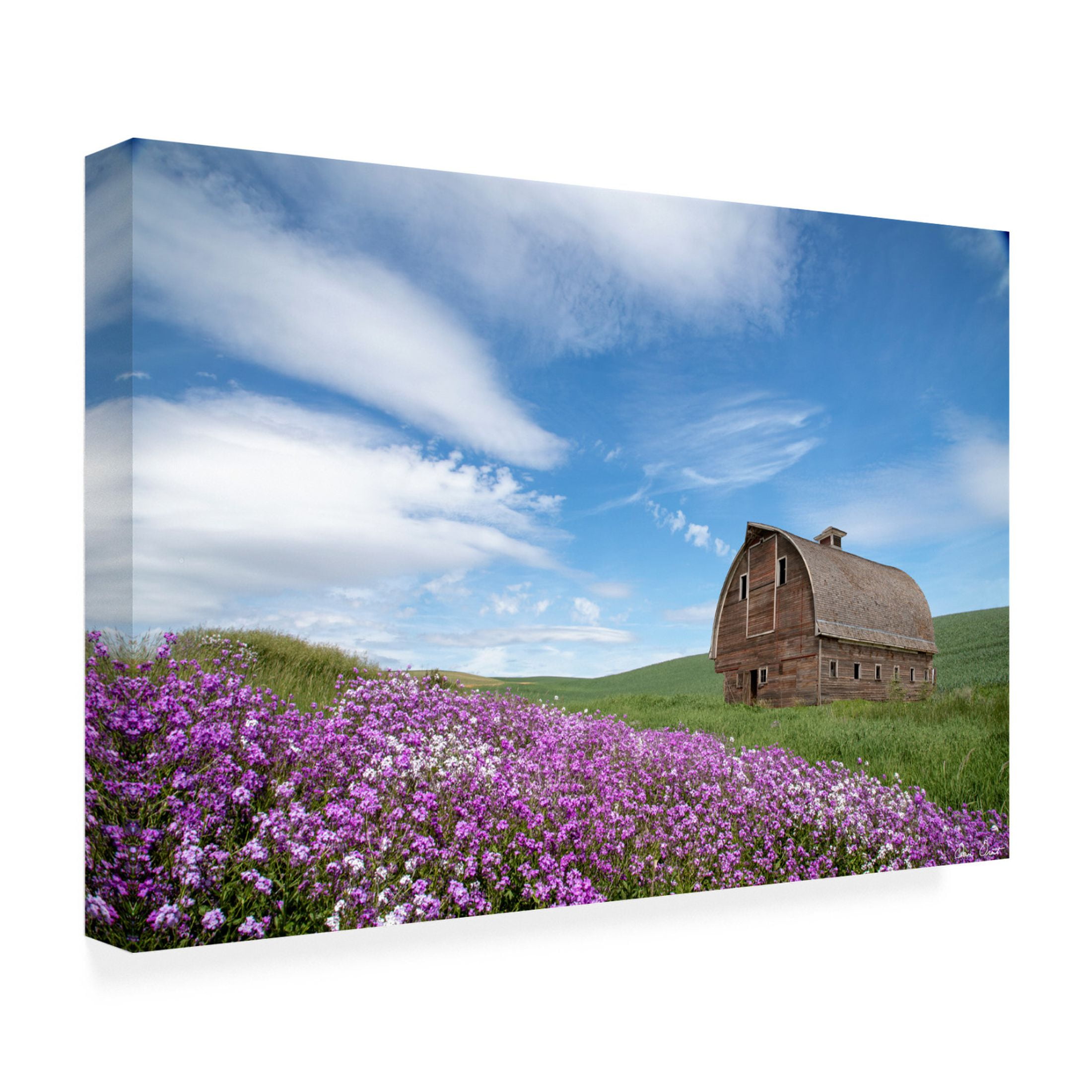 Trademark Fine Art David Drost  Palouse Barn and Flowers II Canvas Wall Art