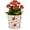 Red Plum, variant on Ceramic Flower Pots For Indoor Plant, 5.5 Inch Small Ice Crack Plant Pots With Drainage Hole & Saucer, Decorative Vintage Planters For Succulent Herb Cactus Mint Basil, Garden Pot For Home Decor