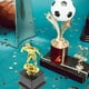 thumbnail image 2 of Trofeo de fútbol, premio decorativo, adorno de trofeo, adorno de trofeo de atleta, adorno de trofeo, 2 of 8