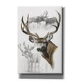 thumbnail image 1 of Epic Graffiti 'Mule Deer' by Barbara Keith, Canvas Wall Art, 40"x60", 1 of 8