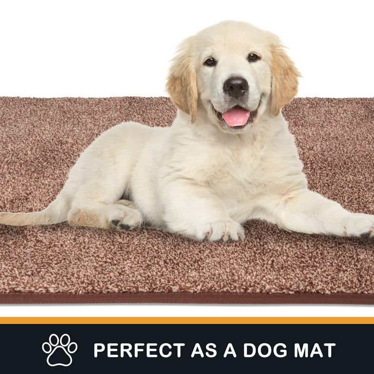 Door Mat Indoor, Dog Mats for Muddy Paws Super Absorbent, Low-Profile  Entryway Rug with Non-Slip Backing, Washable Dirty Trapper Inside Entrance