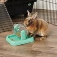 thumbnail image 4 of Oxbow Enriched Life Roll Teaser Small Animal Toy, 4 of 4