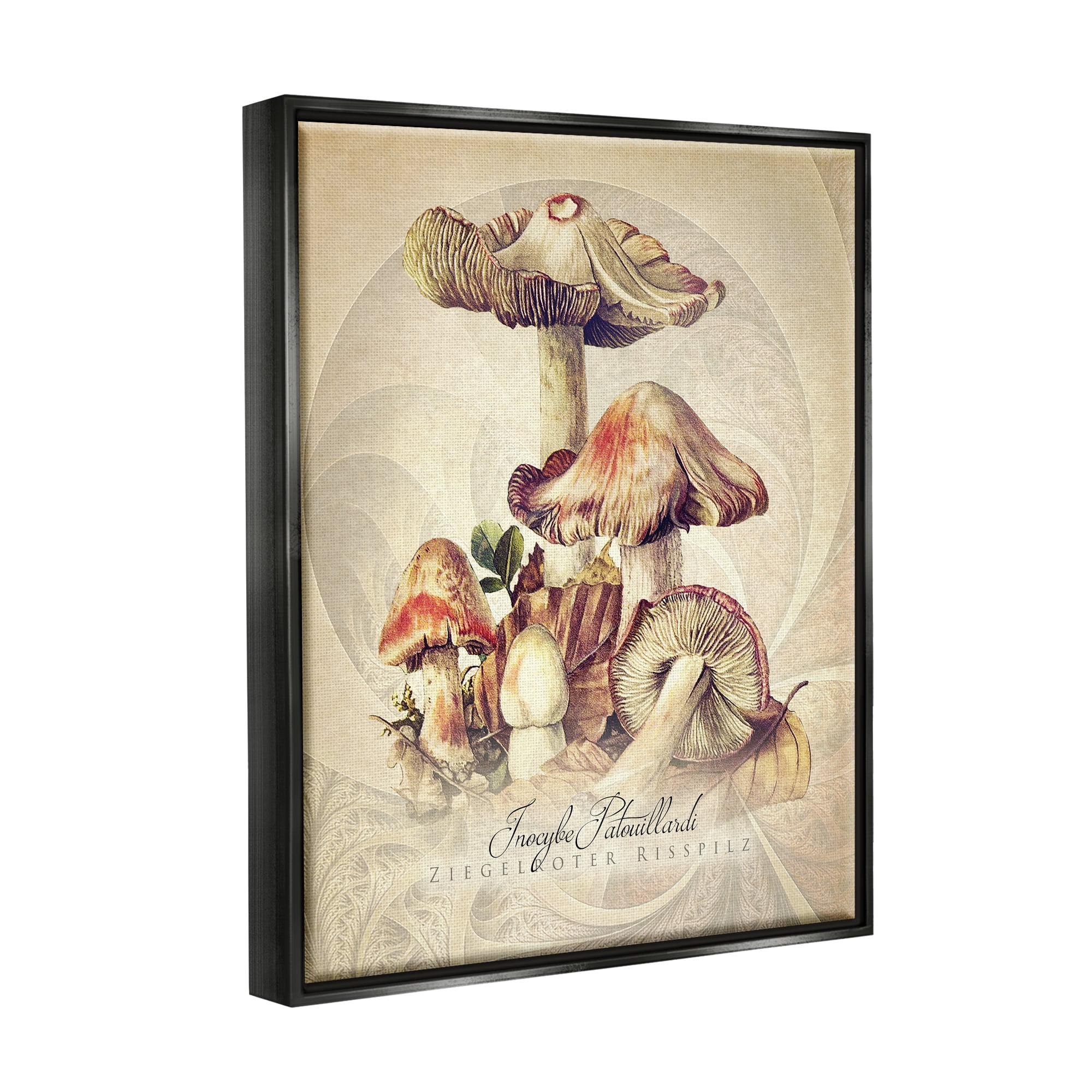 Stupell Industries Vintage Detailed Mushroom Nature Botanical & Floral Painting Black Floater Framed Art Print Wall Art