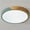 Green, variant on Aiwen Round LED Flush Mount Ceiling Lamp Modern Light Fixture White