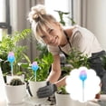 thumbnail image 4 of YFGEFTR Clear Plant Watering Globes, Plastic Self-Watering Bulbs, Automatic Watering Bulbs for Indoor & Outdoor Potted Plants, Vacation Plant Care, Water Conservation Device, 4 of 5