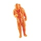 thumbnail image 5 of Resina 1/64 Figuras de escala 1/64 Modelo de escala Figuras de personas para decoración de la casa de muñecas estilo a, 5 of 9