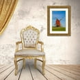 thumbnail image 3 of Bibikow, Walter 23x32 Gold Ornate Wood Framed with Double Matting Museum Art Print Titled - Sweden-Oland Island-Storlinge-antique wooden windmills, 3 of 4
