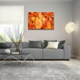 thumbnail image 5 of Epic Art 'Ginkgo Fall' by Philippe Sainte-Laudy, Acrylic Glass Wall Art, 36"x24", 5 of 8