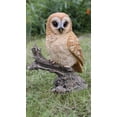 thumbnail image 1 of Hi- Line Gift 87717-B Statue de Hibou Fauve sur Souche, 1 of 5