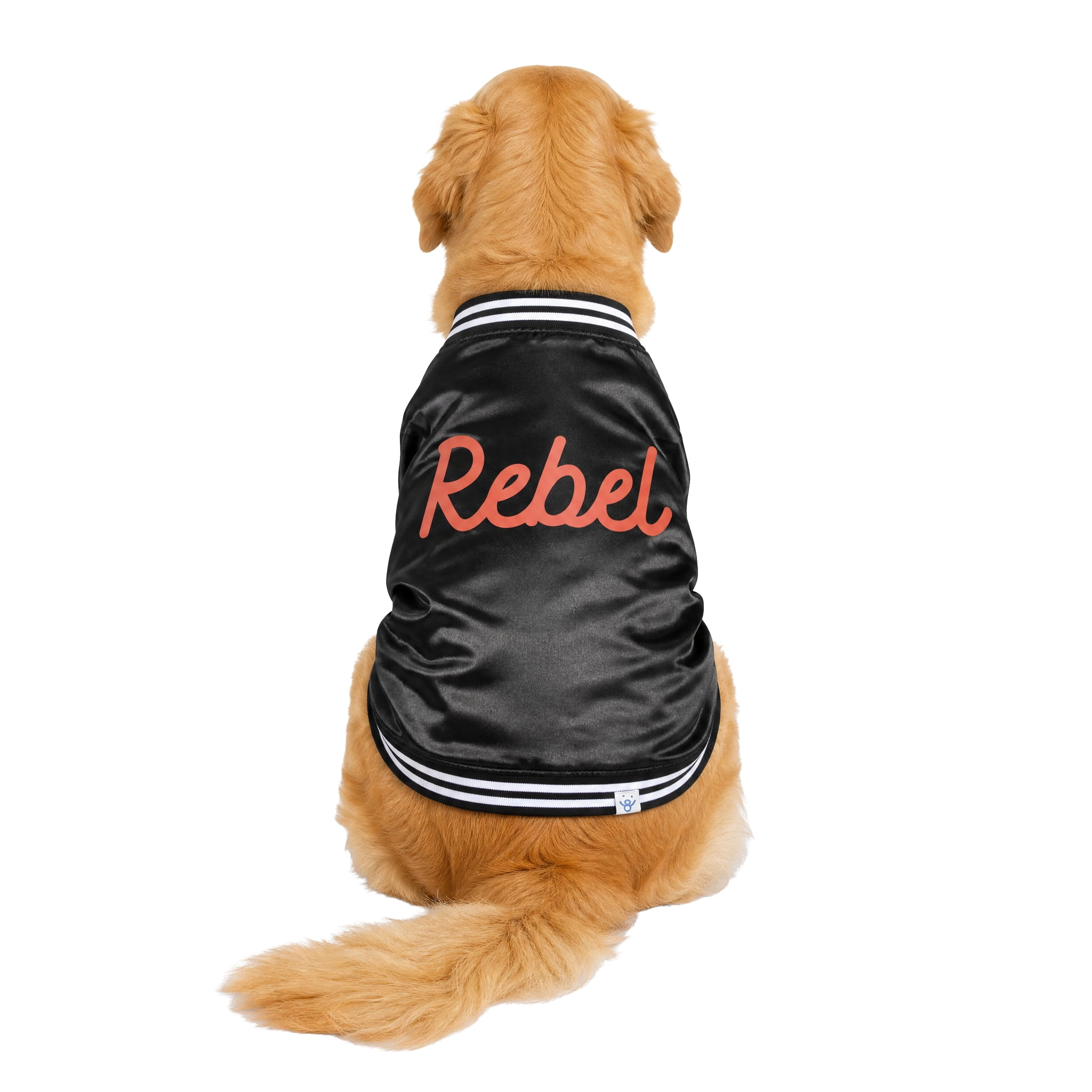 Oodles Rebel Fall Dog Jacket, Black, XL