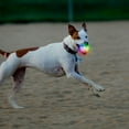 thumbnail image 6 of Nite Ize GlowStreak Wild LED Ball, Bouncy Motion Activated Light Up Dog Ball for High Energy Dogs, Disc-O, 6 of 9