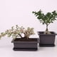 thumbnail image 2 of Matsuzay Plant Pots Bonsai Succulent Nursery Basin Escritorio Jardín y Patio 26.00*19.00*8.00 cm, 2 of 6