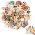 thumbnail image 1 of Tutuviw Natural Seashells Mixed Starfish Sea Shells,Beach Snail Seashells for Beach Theme Parties,Home Decoration,Various DIY Crafts,Candle Making,Fish Tank and Vase Fillers (1lb,Mixed Shellfish), 1 of 5