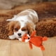 thumbnail image 5 of Juguetes suaves para perros, juguetes chirriantes para perros, animales de peluche lindos para perros pequeños, medianos y grandes zorro, 5 of 7