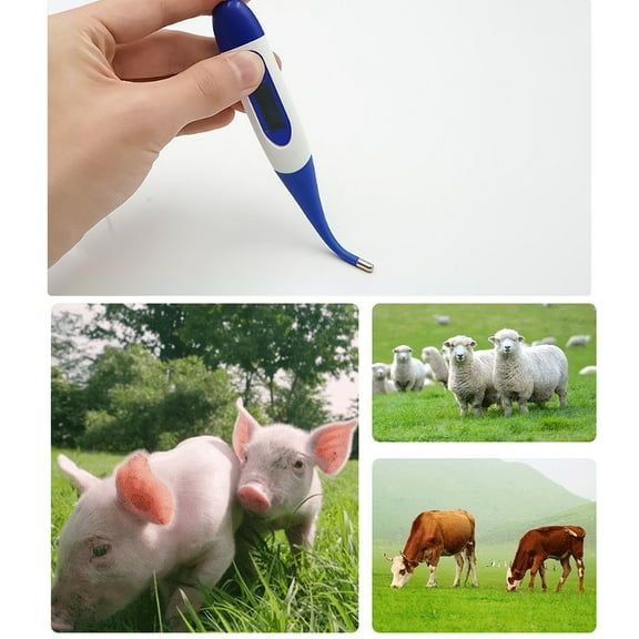 Digital Tester,Animal Thermometer Display Thermometer Thermometer Livestock Thermometer Waterproof Solinder Thermometer Animal Ziem Thermometer L-ed Display Rse