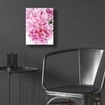 thumbnail image 5 of Epic Art 'Pink Peony Cluster' by Elise Catterall, Acrylic Glass Wall Art, 12"x16", 5 of 8
