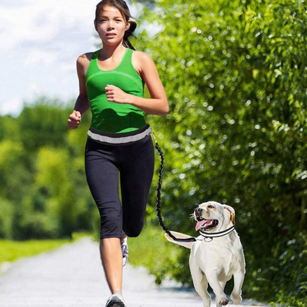 Pet Running Waist Belt Hands Free Dog Leash Walking Belt Lead Jogging Leash Elastic with Reflective Strip Bags Training Kit Black 