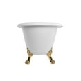 thumbnail image 2 of Paris 54 Inch Acrylic Slipper Clawfoot Tub - No Faucet Drillings - Lion Paw Feet, 2 of 2