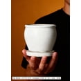 thumbnail image 4 of Serene Spaces Living 5" Sora White Ceramic Planter, 4 of 7