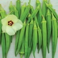 Burpee Organic Clemson Spineless Okra Vegetable Seed, 1Pack
