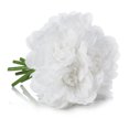 thumbnail image 3 of Enova Home Artificial Silk Dahlia Fake Flowers Arrangement in Cylinder Glass Vase with Faux Water for Home Office Wedding Decoration (White), 3 of 3
