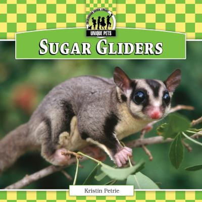 Pre-Owned Sugar Gliders (Library Binding) 1617834432 9781617834431