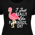 thumbnail image 4 of Inktastic I Just Really Like Flamingos Ok with Pink Flamingo Women's Plus Size T-Shirt, 4 of 5
